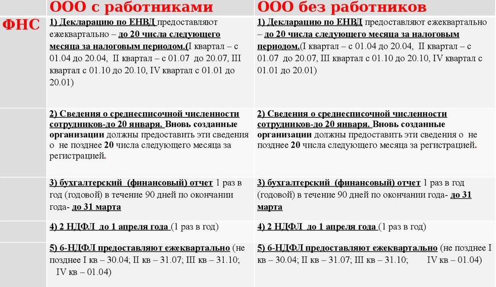 ооо на енвд какие отчеты сдавать