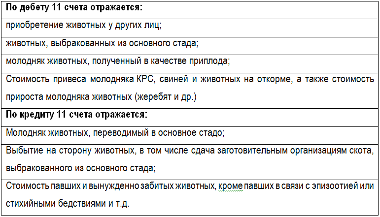 что отражается по дебету и кредиту 11 счета