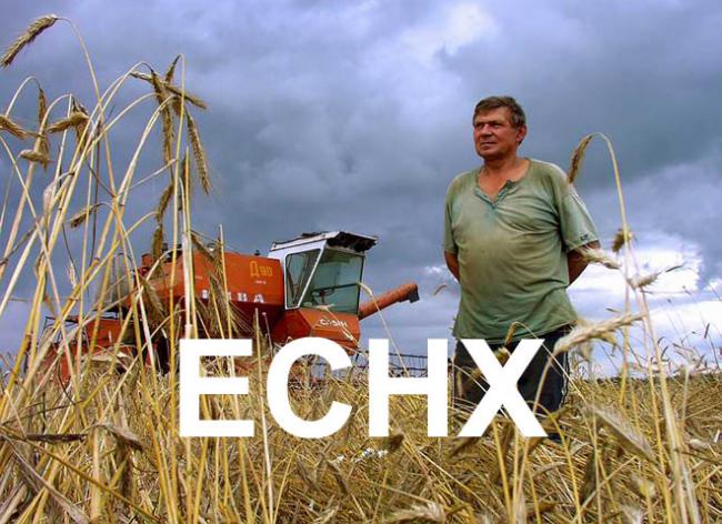 сельхозналог