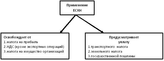 уплата налогов при ЕСХН