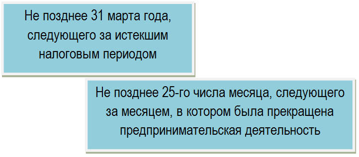 есхн срок сдачи декларации