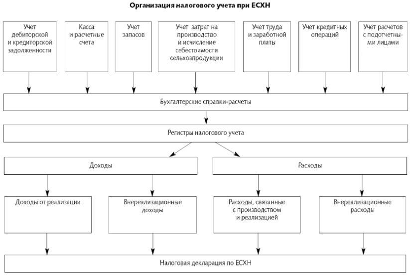 заполнение декларации есхн